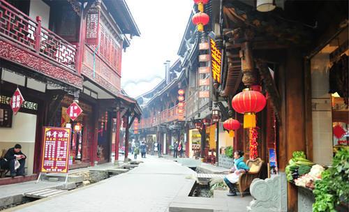 五彩鹦鹉救援